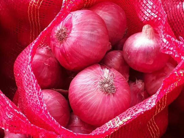 pakistani onion