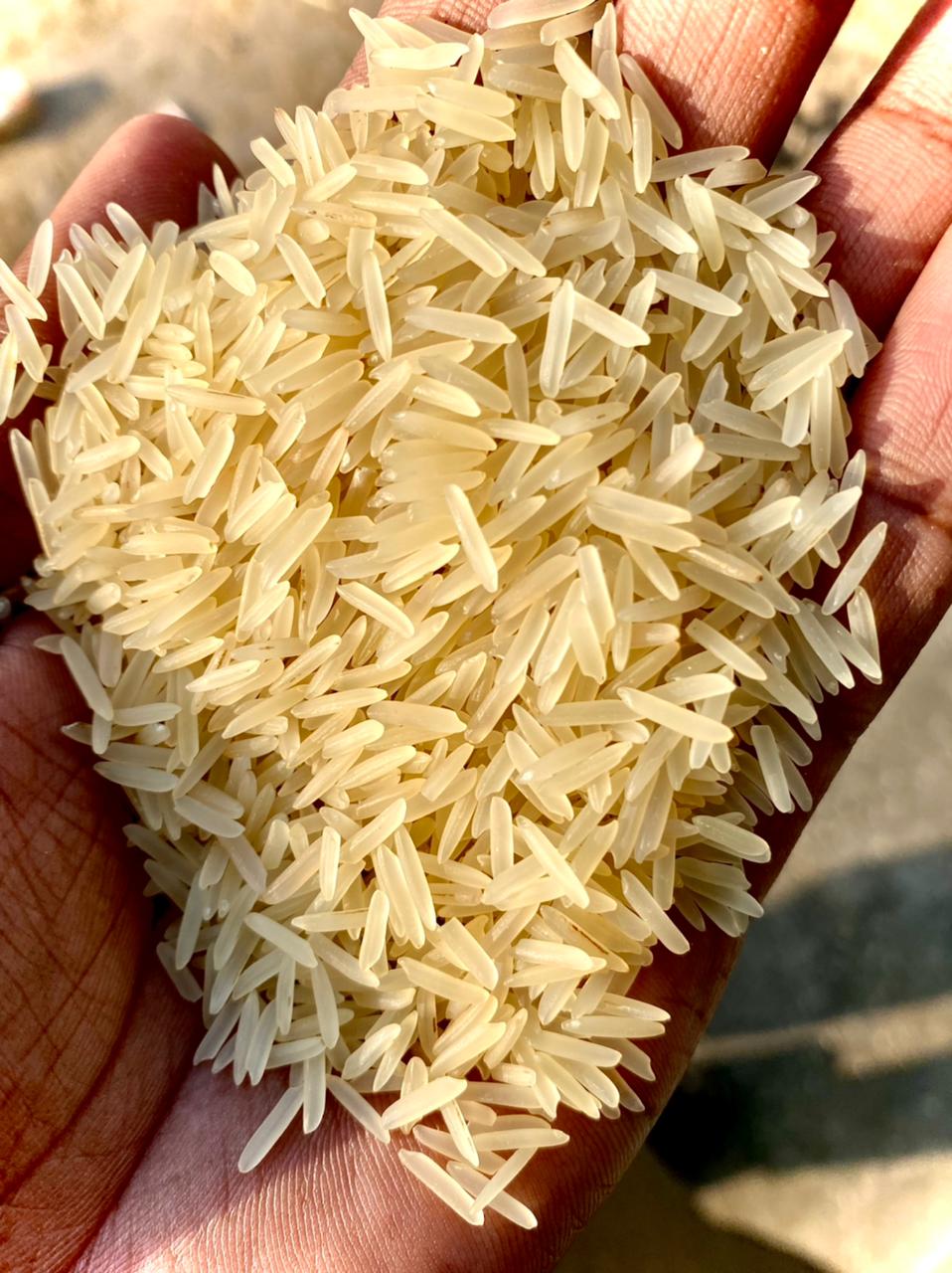 Pakistani best quality rice