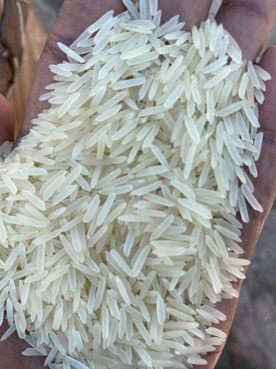 Pakistani best quality rice