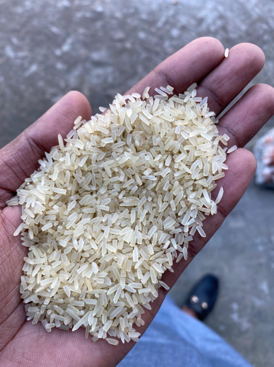 Pakistani best quality rice